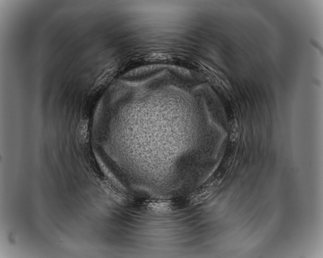 X0000096480560200802211217
