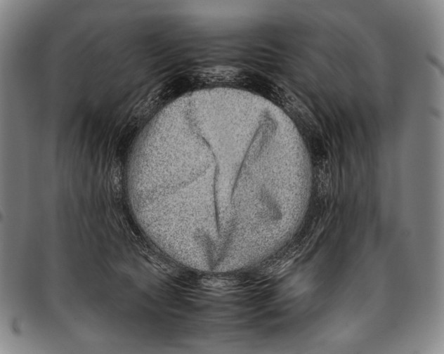 X0000096480561200802211217