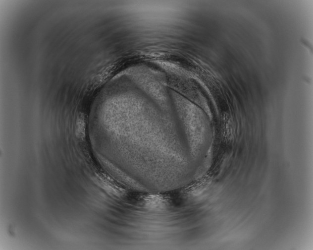 X0000096480562200802211217