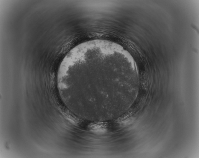 X0000096480563200802211217