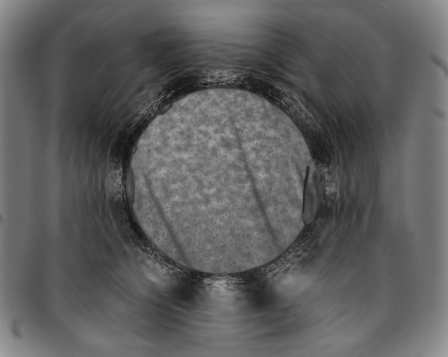 X0000096480564200802211217