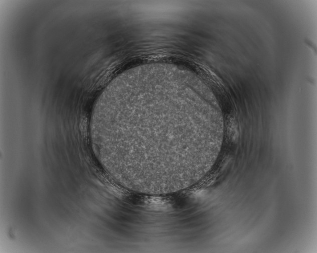X0000096480565200802211217
