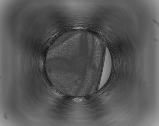X0000096480566200802211217