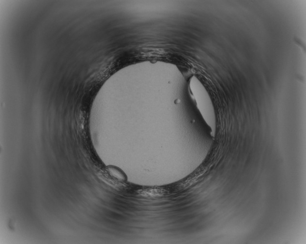 X0000096480567200802211217