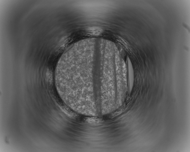 X0000096480568200802211217