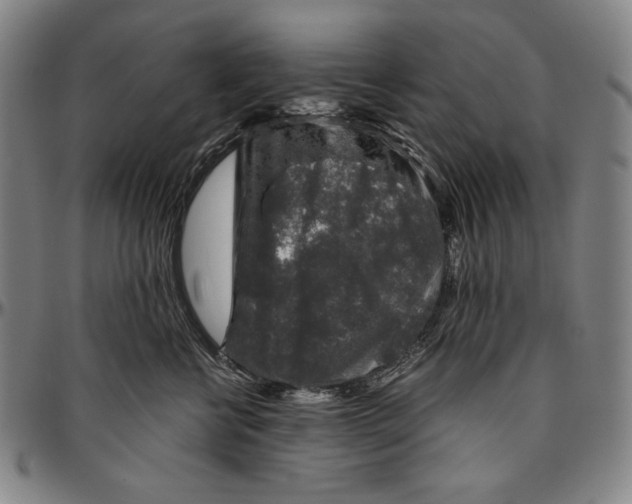 X0000096480570200802211217