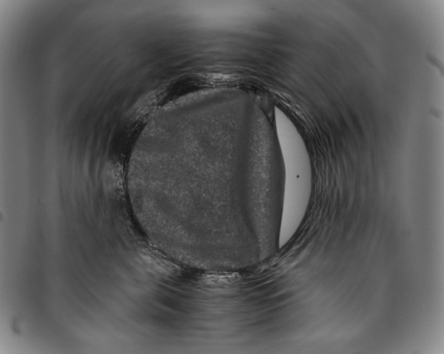 X0000096480571200802211217