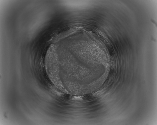 X0000096480573200802211217