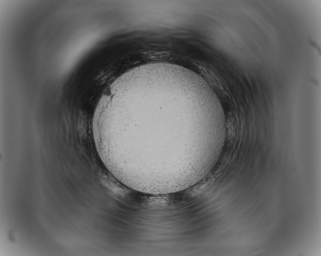 X0000096480574200802211217