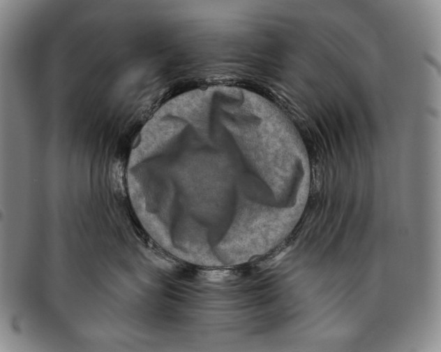 X0000096480575200802211217