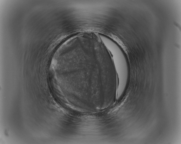 X0000096480577200802211216