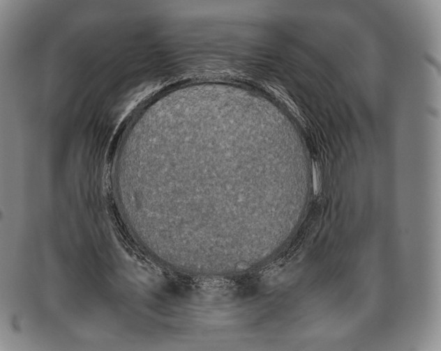 X0000096480579200802211216