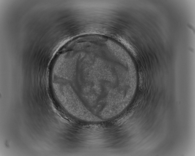X0000096480580200802211216