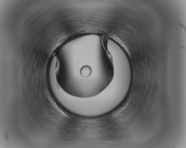 X0000096480581200802211216