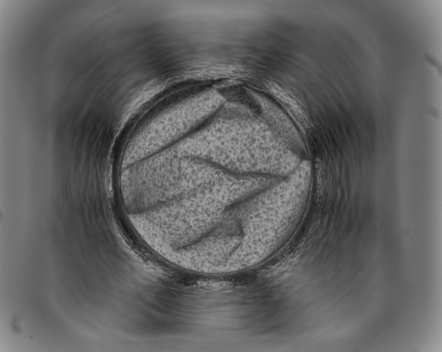 X0000096480582200802211216