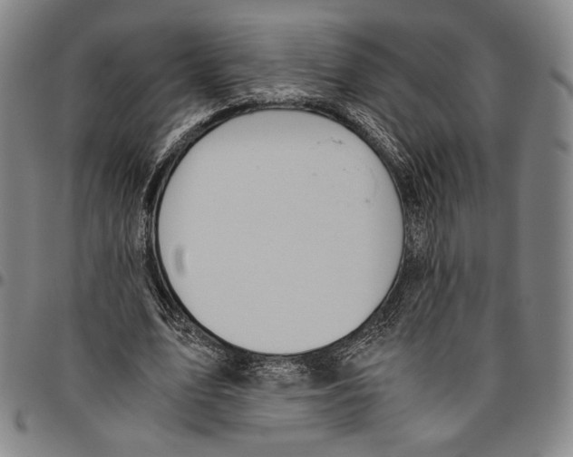 X0000096480583200802211216