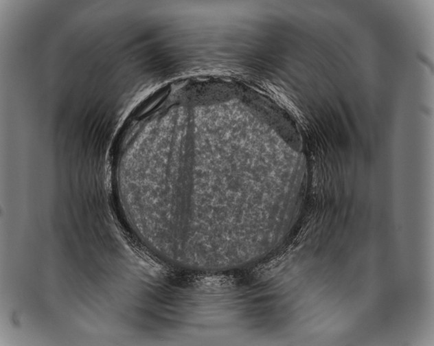 X0000096480584200802211216