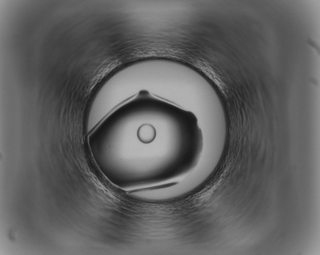 X0000096480585200802211216