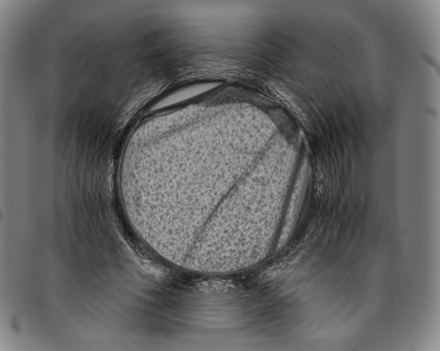 X0000096480586200802211216