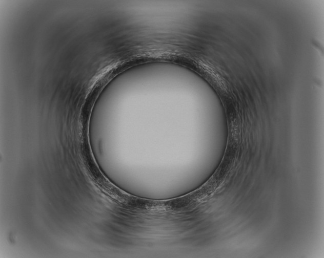 X0000096480587200802211216