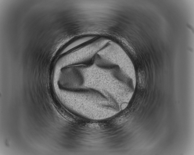 X0000096480588200802211216