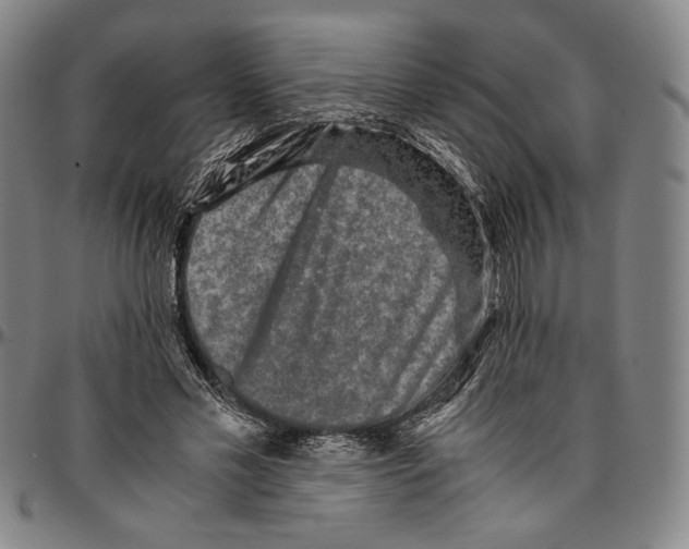 X0000096480589200802211216