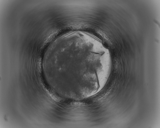 X0000096480590200802211216