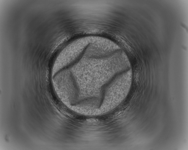 X0000096480591200802211216