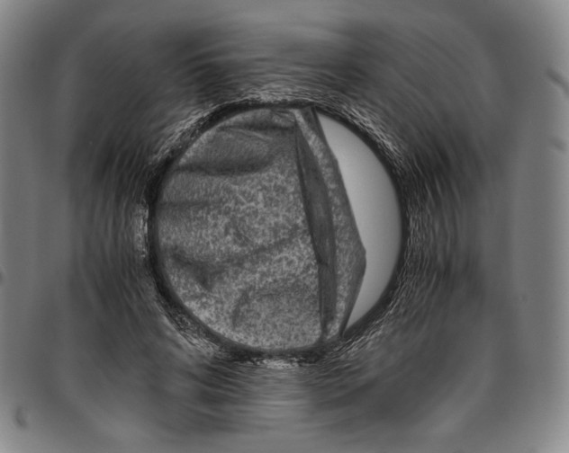 X0000096480592200802211216