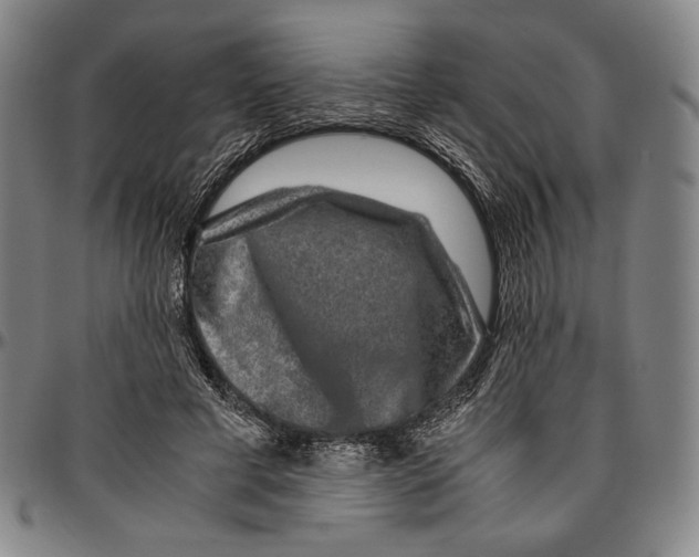 X0000096480593200802211216