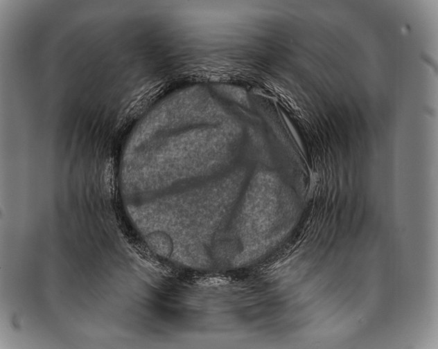 X0000096480594200802211216