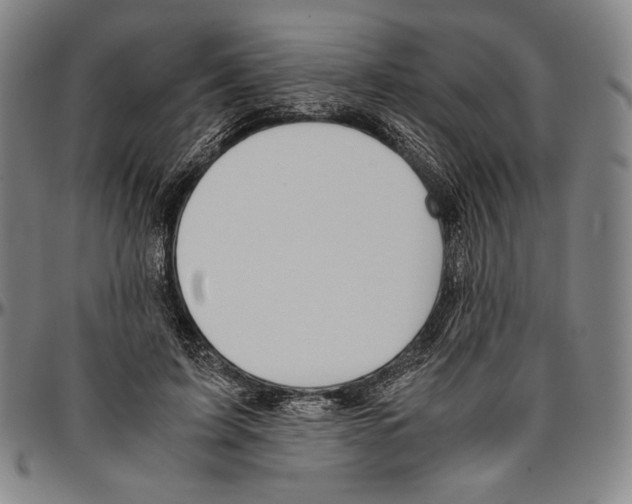 X0000096480595200802211216
