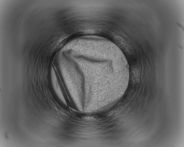 X0000096480596200802211216