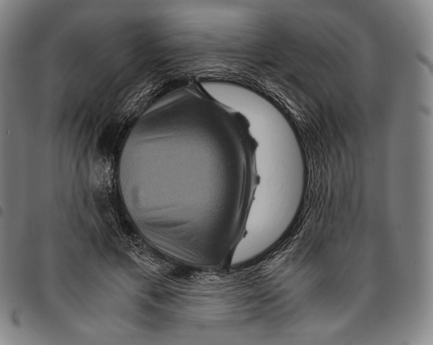 X0000096480597200802211216