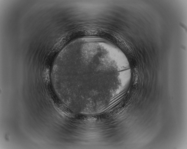 X0000096480598200802211216