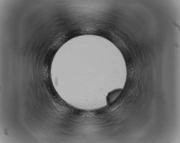 X0000096480599200802211216