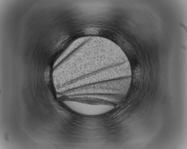 X0000096480600200802211216
