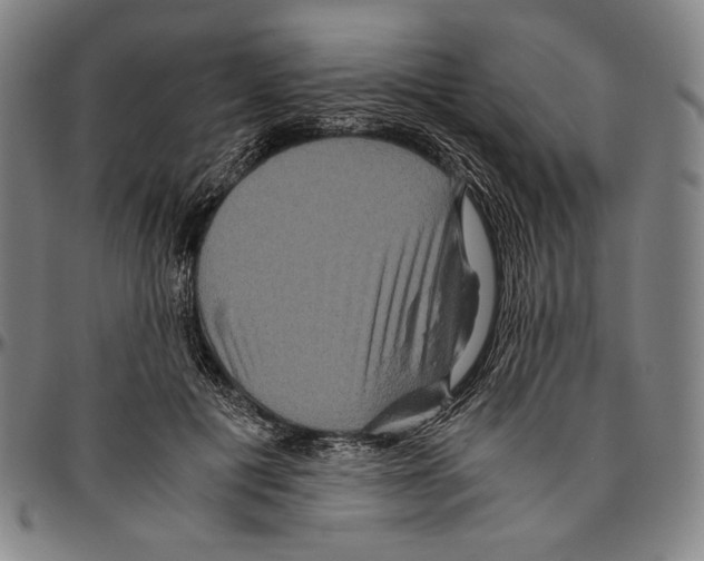 X0000096480601200802211216