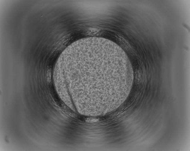 X0000096480602200802211216