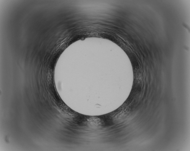 X0000096480603200802211216