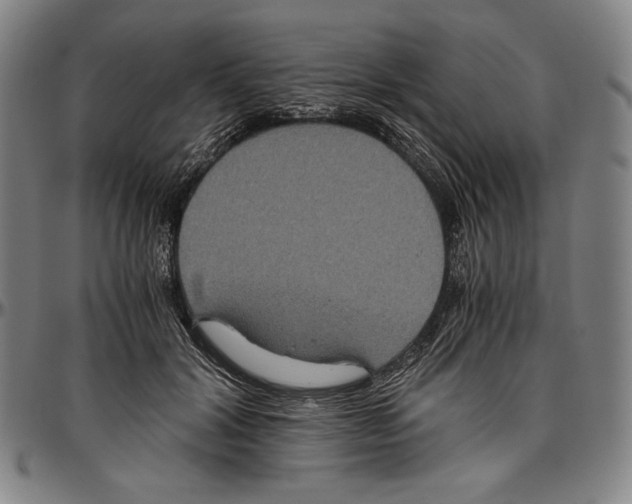 X0000096480604200802211216