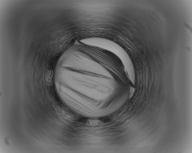 X0000096480605200802211216