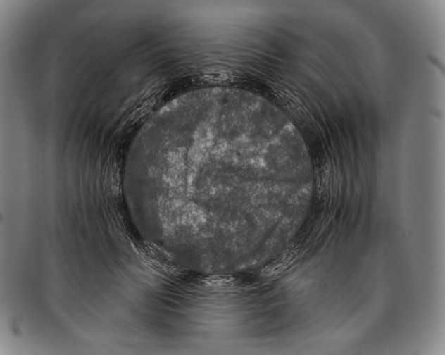 X0000096480606200802211216