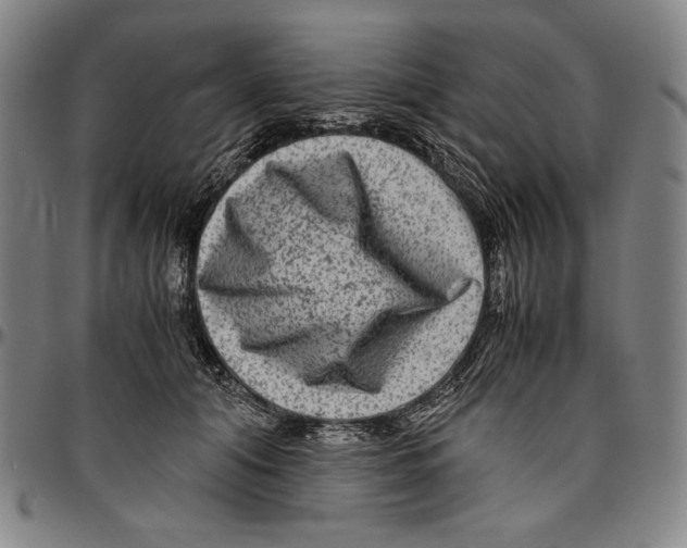 X0000096480608200802211216