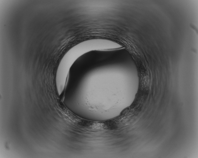 X0000096480609200802211216