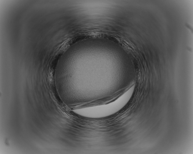 X0000096480611200802211216