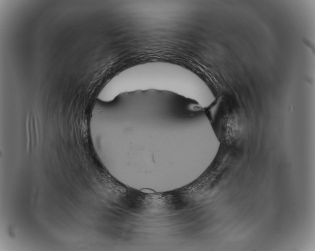 X0000096480613200802211216