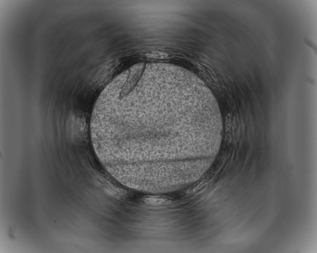 X0000096480614200802211216