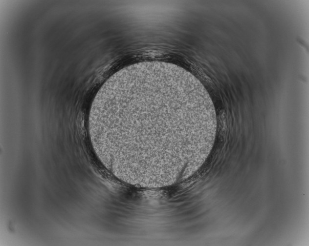 X0000096480615200802211216