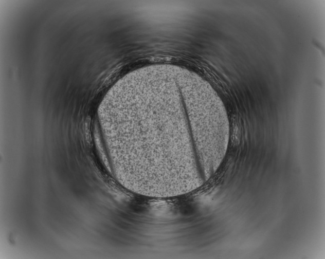 X0000096480616200802211216